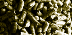 Bild av pellets