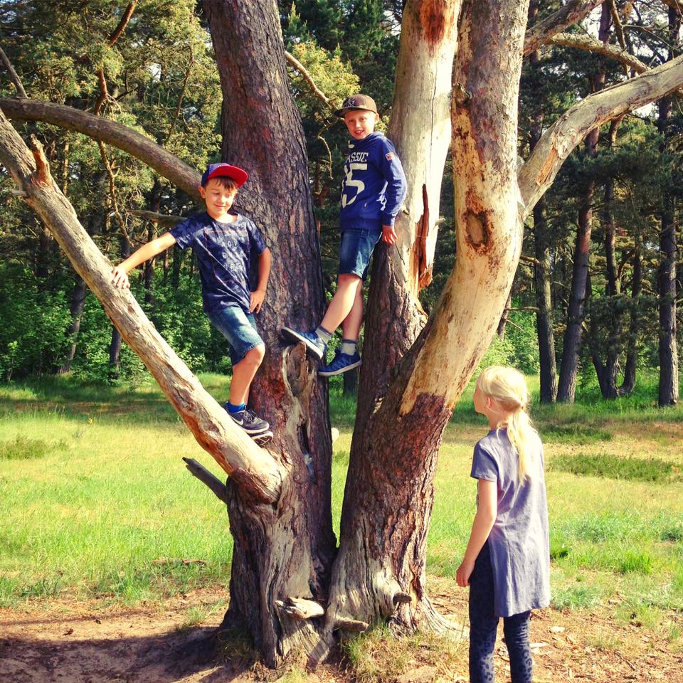 Barn i träd
