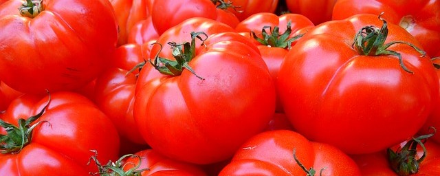 tomatoes-5356_wide640.jpg
